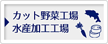 水産加工、カット野菜工場